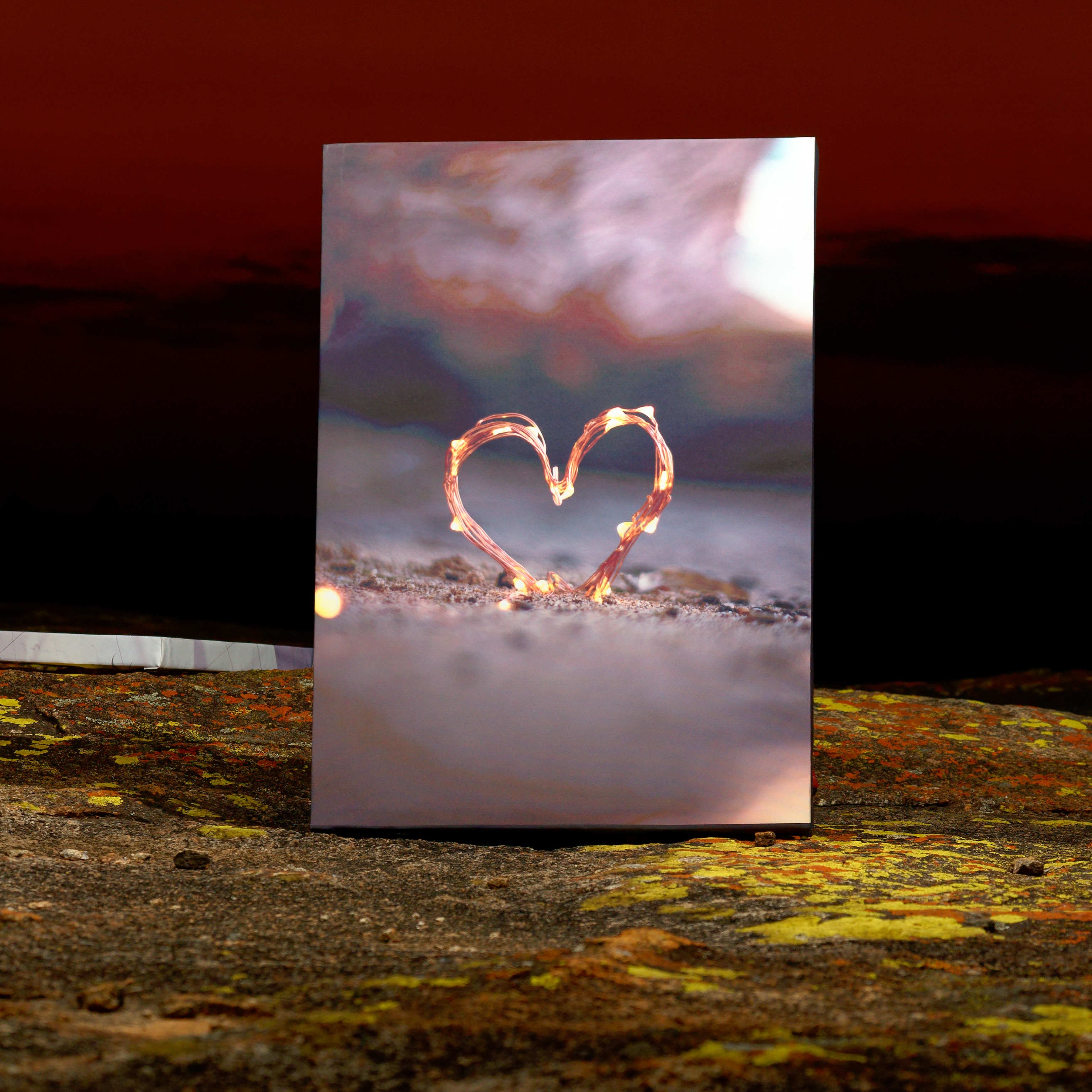 Creative portrait canvas